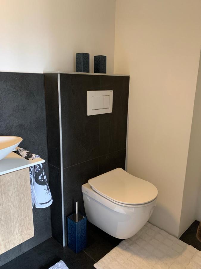 La Jacinthe De Crans Apartman Kültér fotó