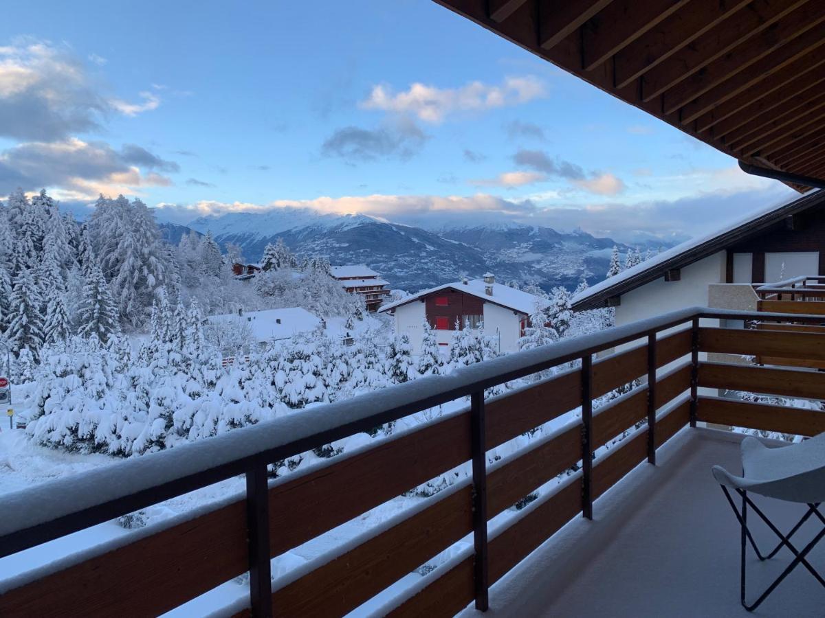 La Jacinthe De Crans Apartman Kültér fotó