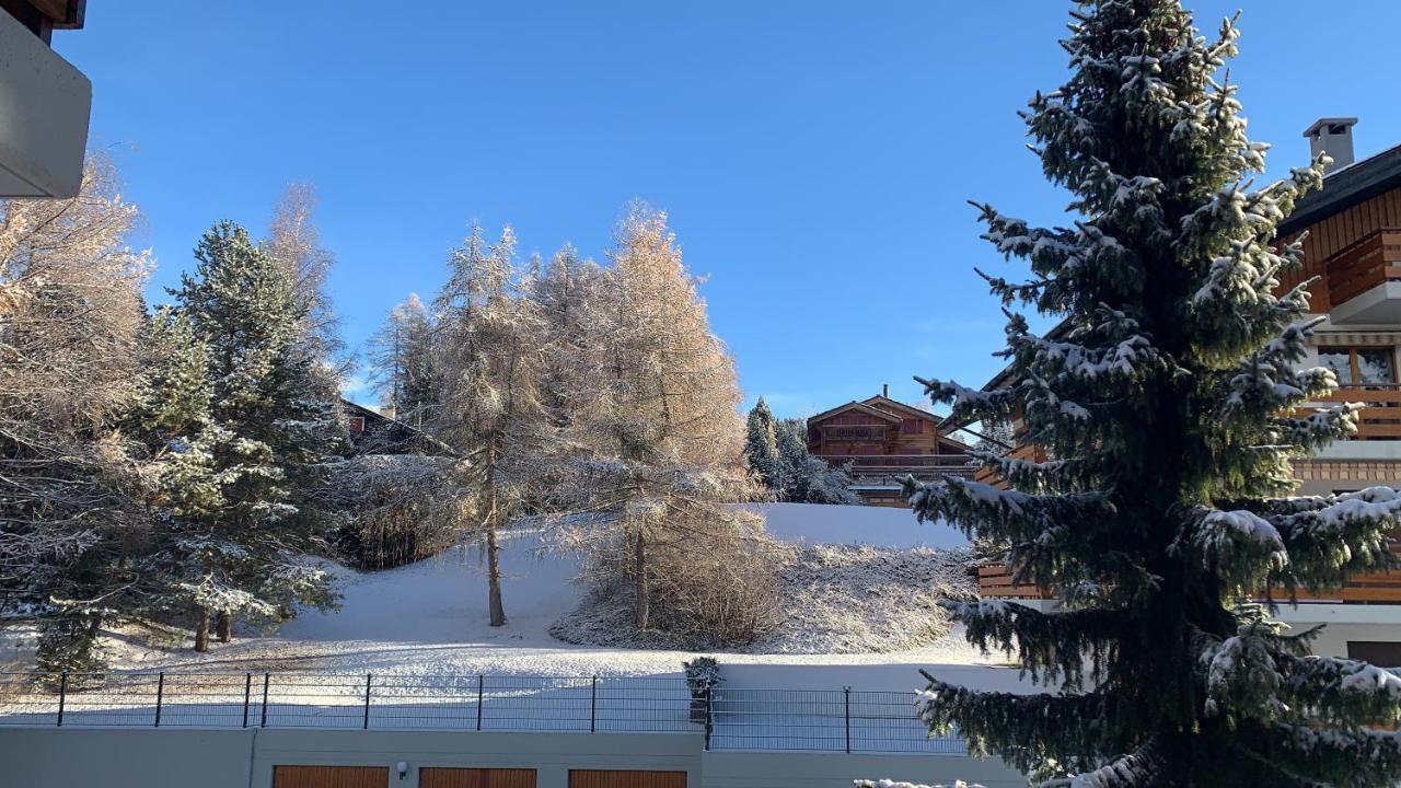 La Jacinthe De Crans Apartman Kültér fotó